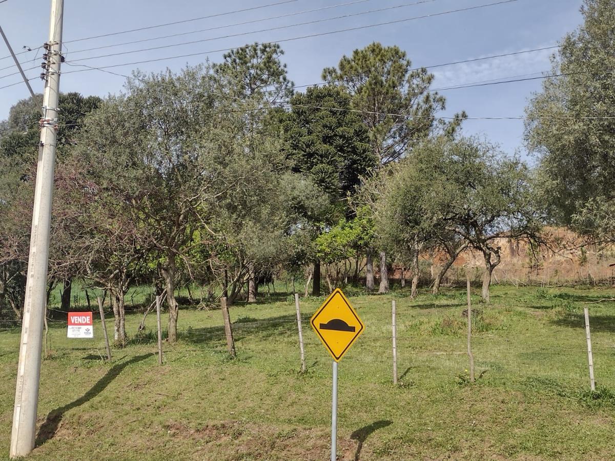 Terreno para Venda Vacaria RS bairro Santa Cruz área total 1 707